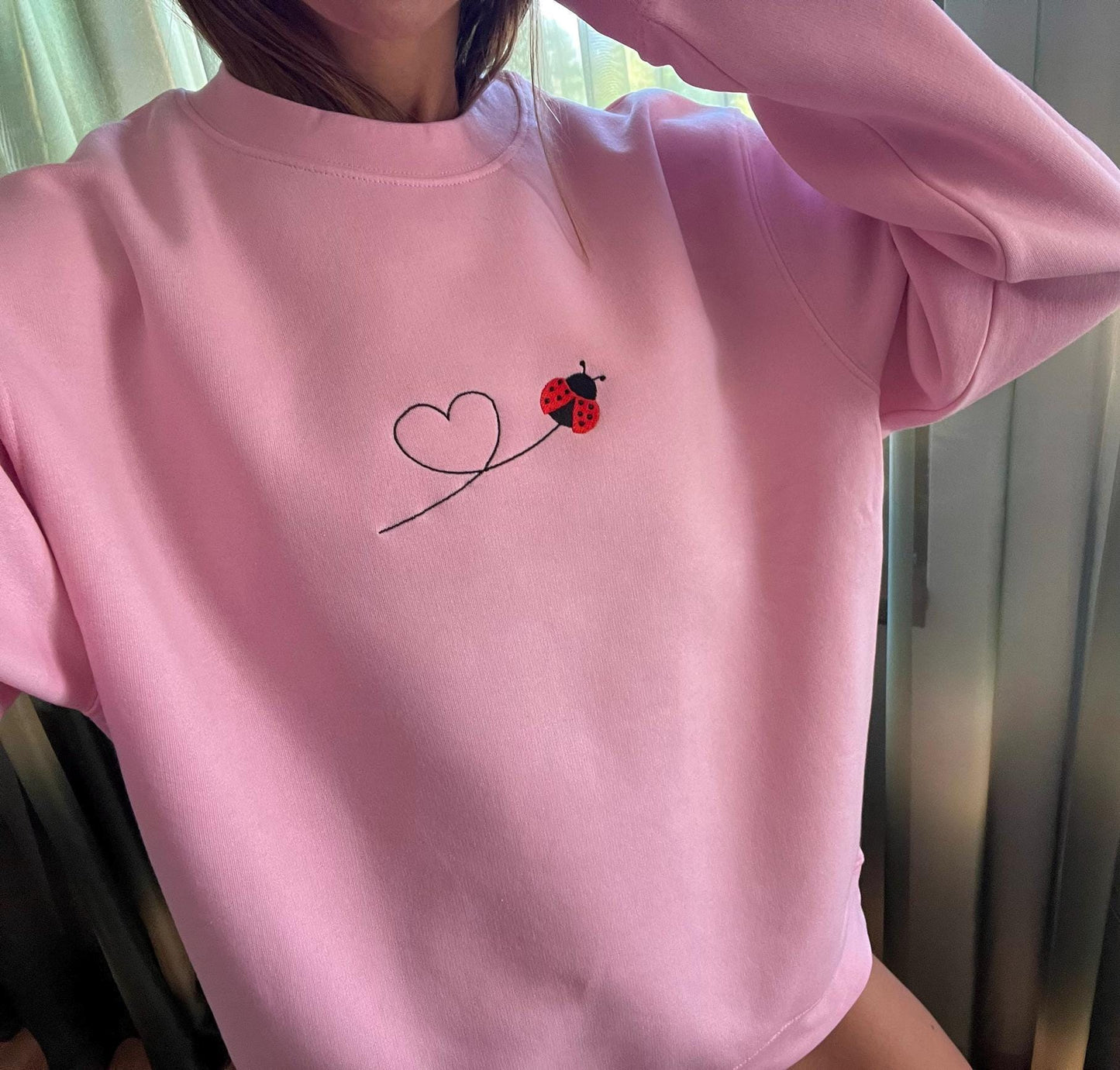 Ladybug Embroidery Sweatshirt